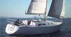 sailboat in boston