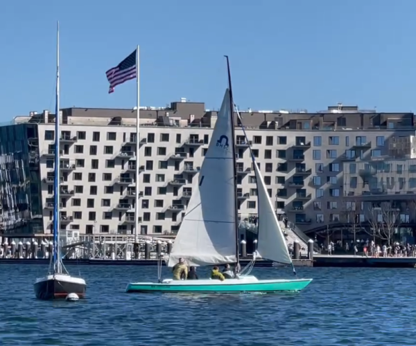 Boston Harbor Sailing Club Sailing Club Memberships, Boating Lessons